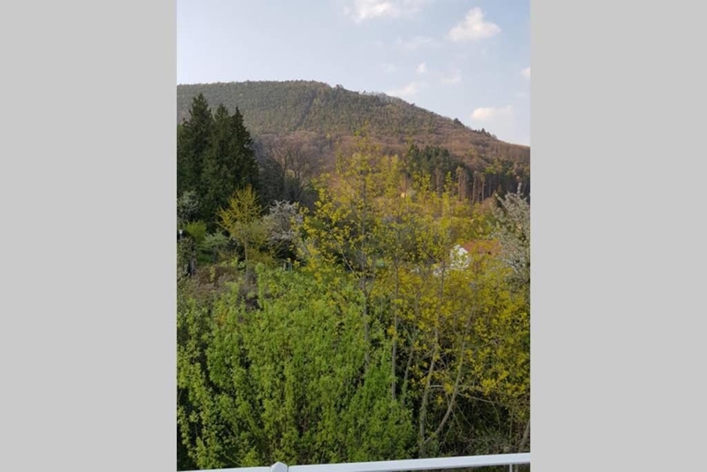 Kunterbunt