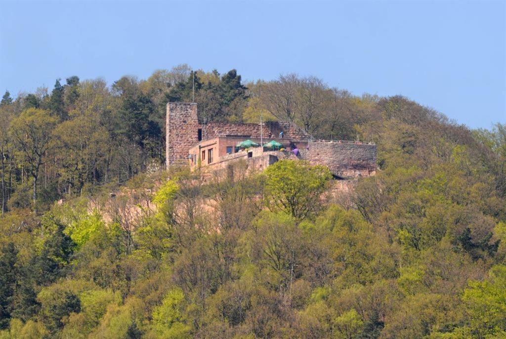 Kunterbunt Ferienhaus *