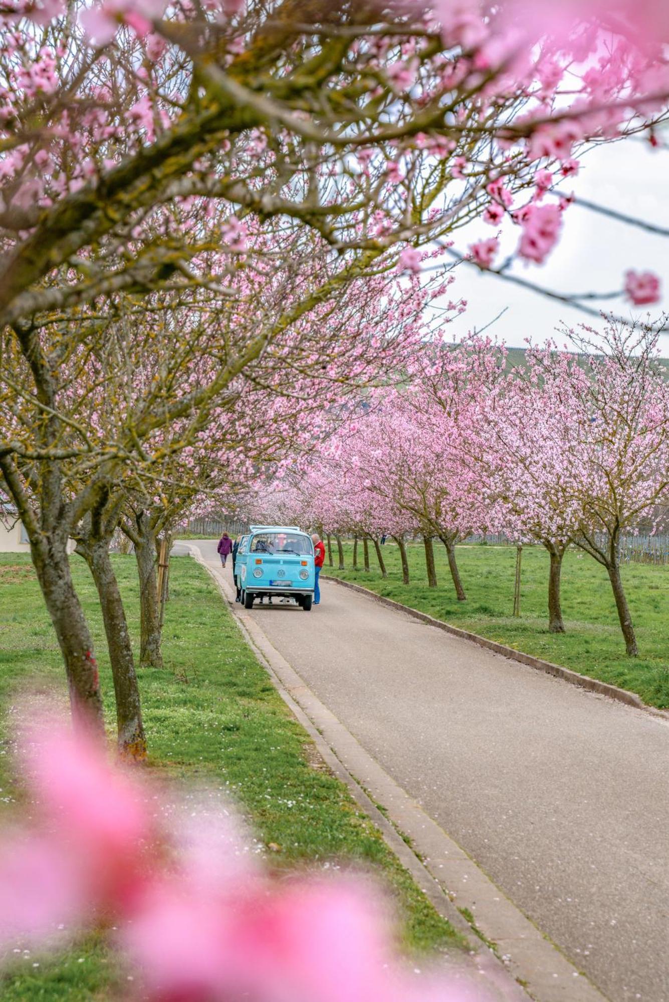 Kunterbunt Ferienhaus Weyher